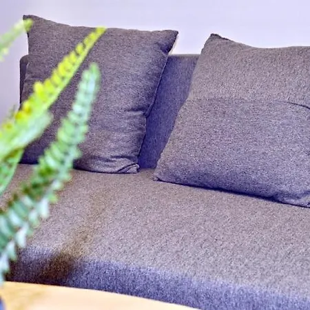 Central Live Guest house