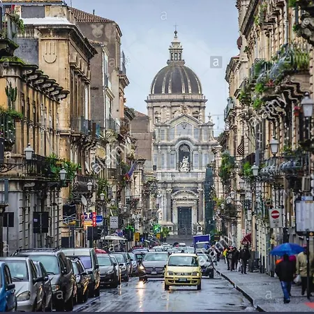 Central Live Catania